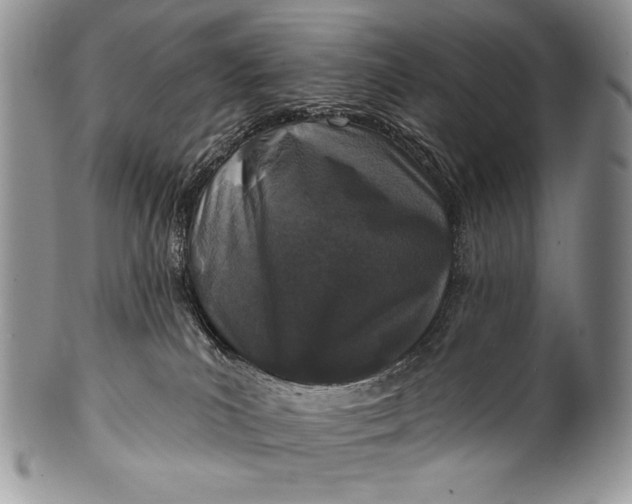 X0000100360039200806201614