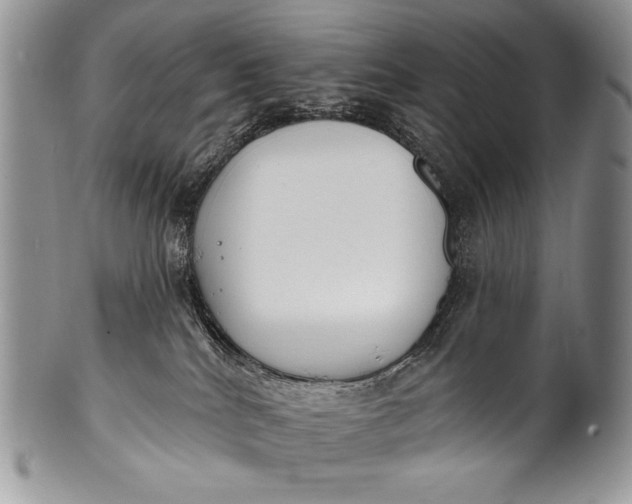 X0000100360040200806201614