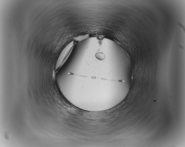 X0000100360041200806201614