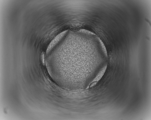 X0000100360042200806201614