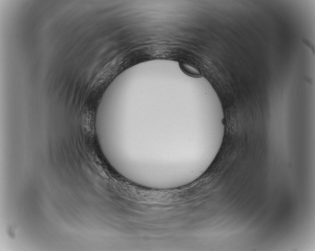 X0000100360044200806201614