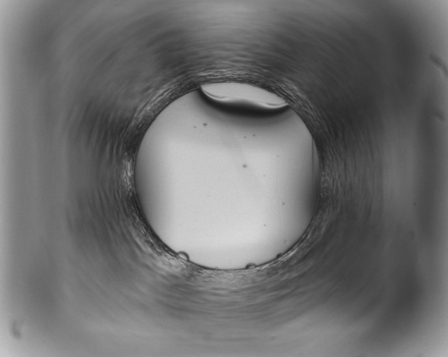 X0000100360045200806201614