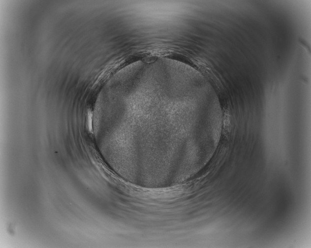 X0000100360046200806201614