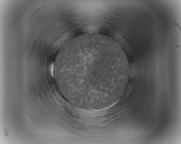 X0000100360047200806201614