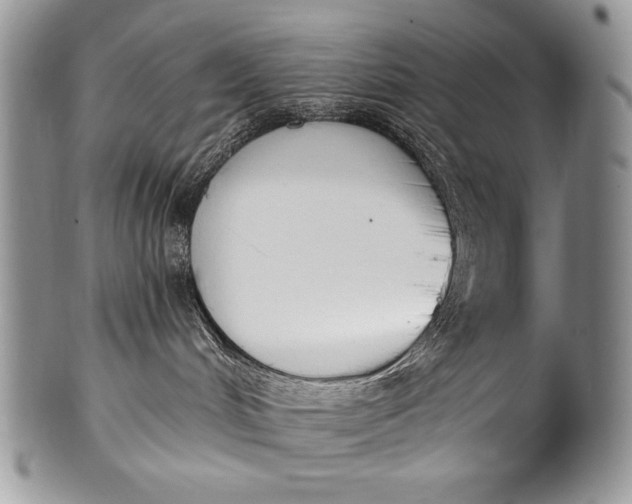 X0000100360048200806201614