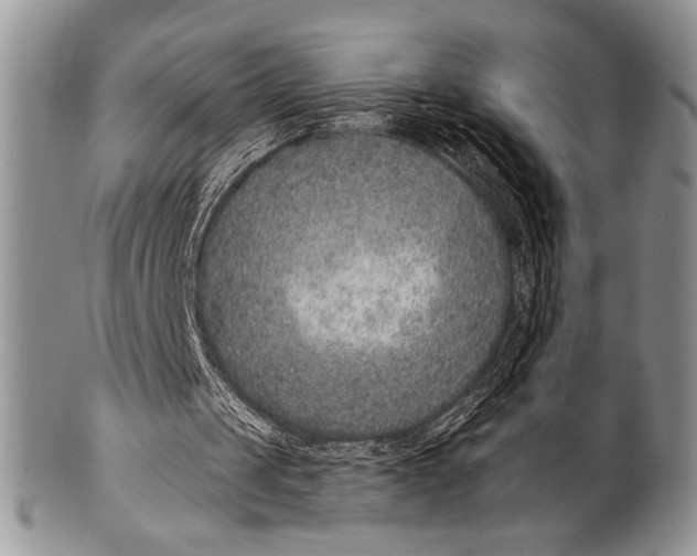 X0000100360049200806201614