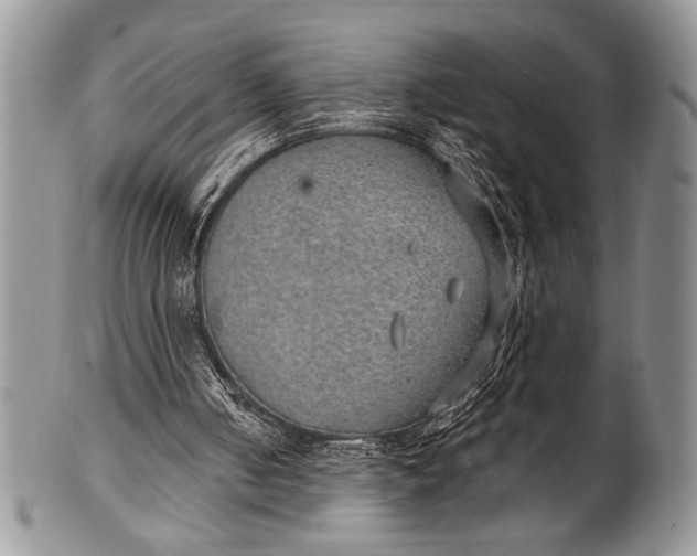 X0000100360050200806201614