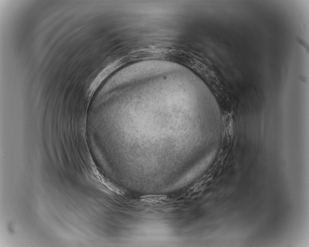 X0000100360051200806201614