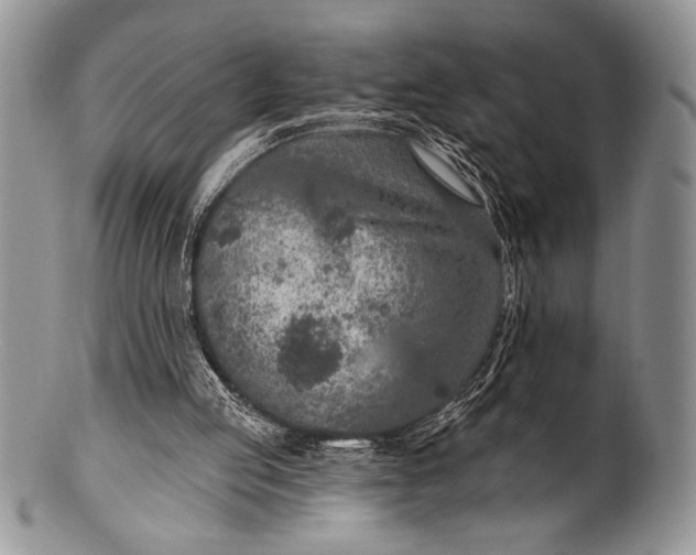 X0000100360053200806201614