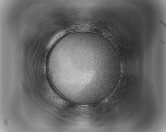 X0000100360054200806201614