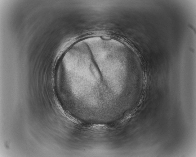 X0000100360055200806201614