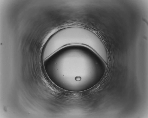 X0000100360056200806201614