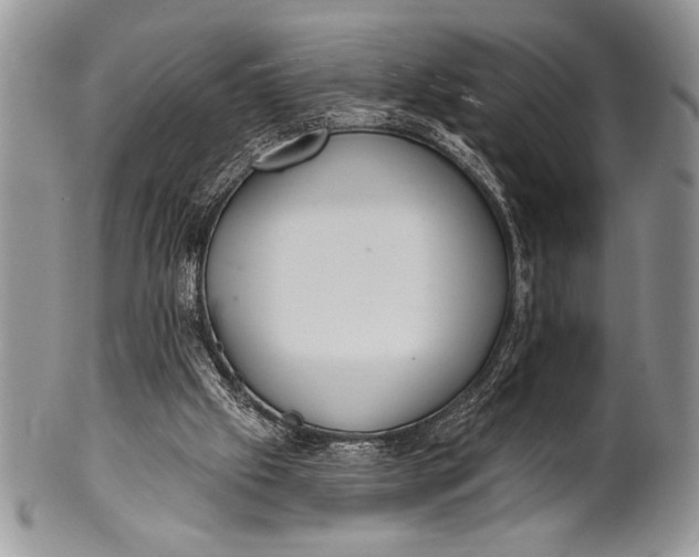 X0000100360057200806201614