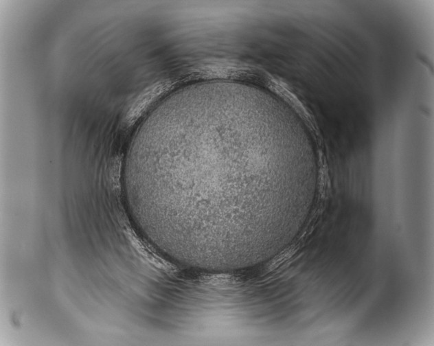 X0000100360058200806201614