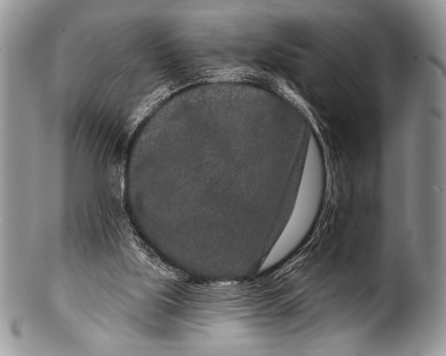 X0000100360059200806201614