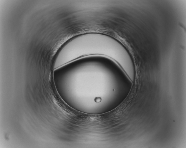 X0000100360060200806201614