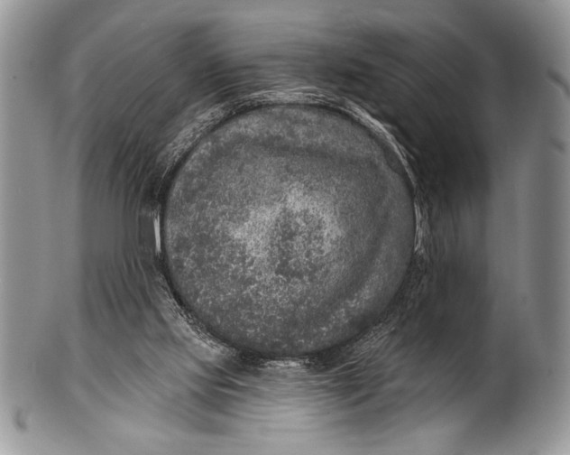 X0000100360061200806201614