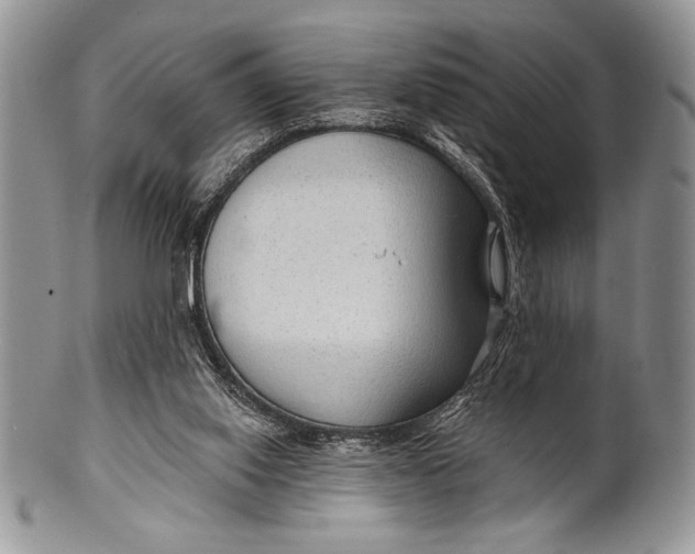 X0000100360062200806201614