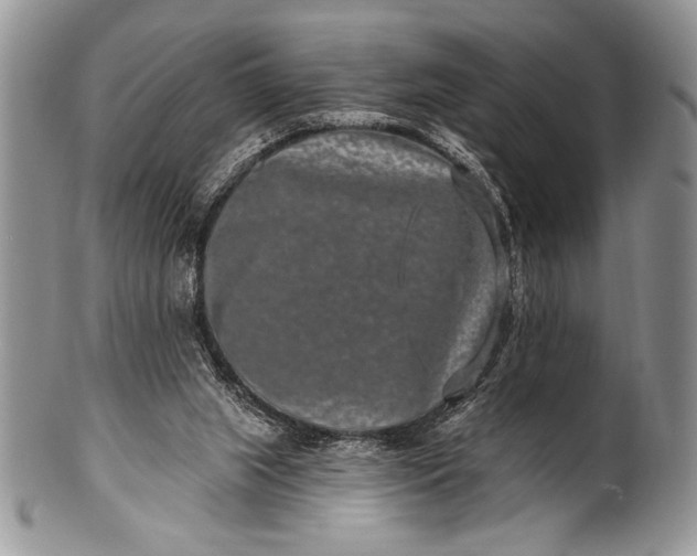 X0000100360063200806201614