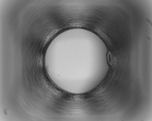 X0000100360064200806201614