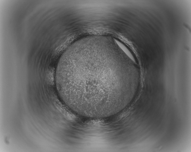 X0000100360065200806201614