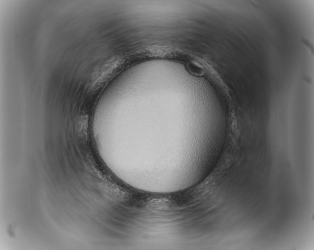 X0000100360066200806201614