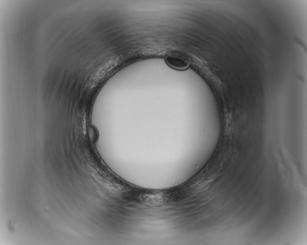 X0000100360068200806201614