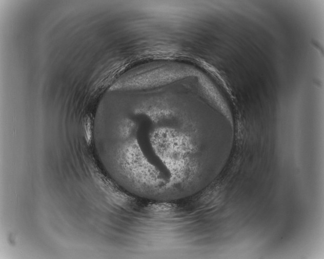 X0000100360069200806201614