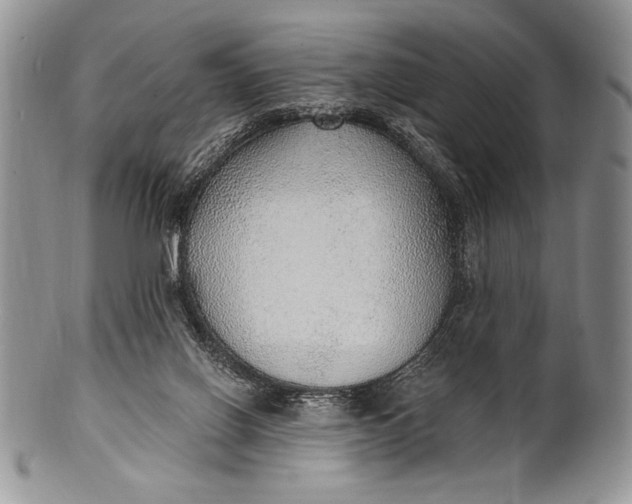 X0000100360070200806201614