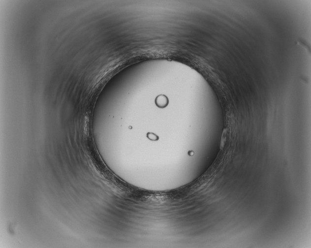 X0000100360071200806201614