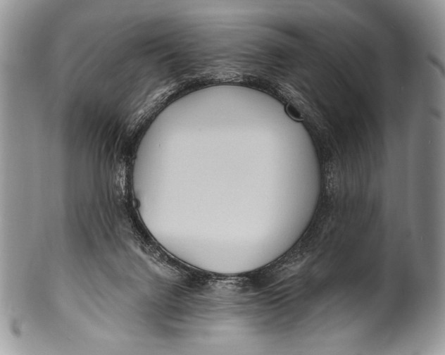 X0000100360072200806201614