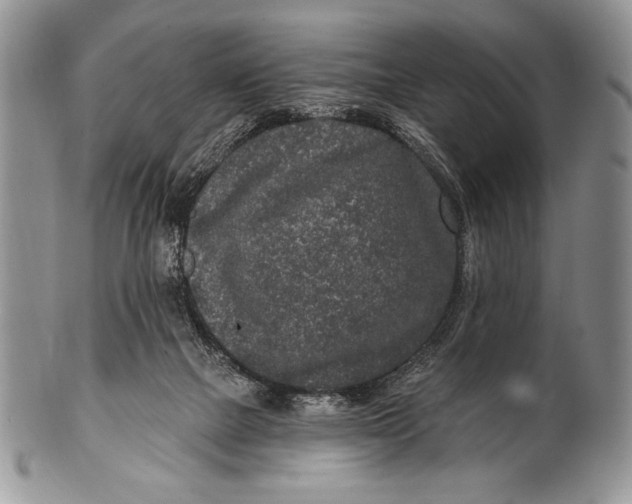 X0000100360073200806201614