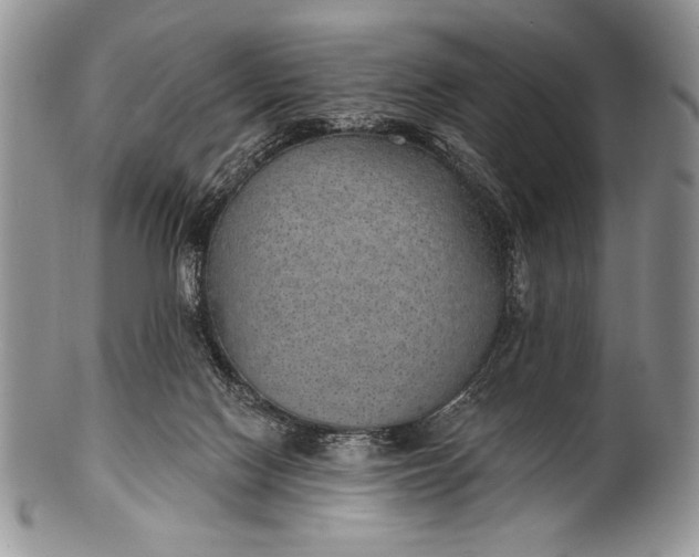 X0000100360074200806201614