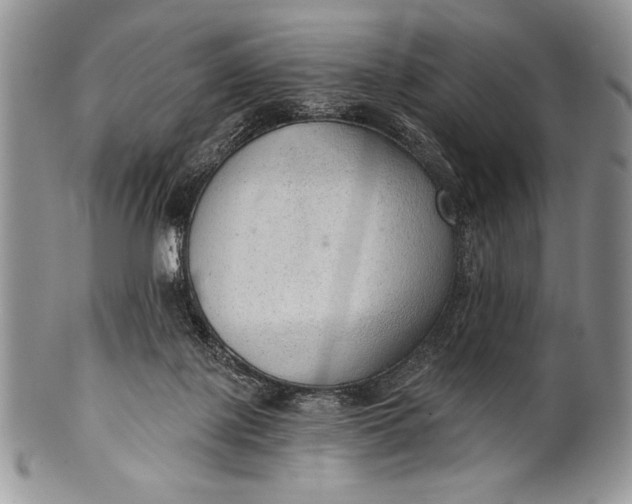 X0000100360075200806201614