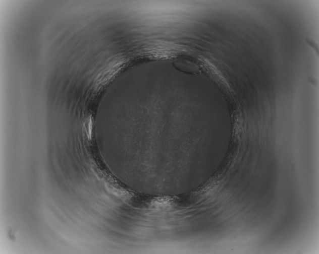 X0000100360076200806201614