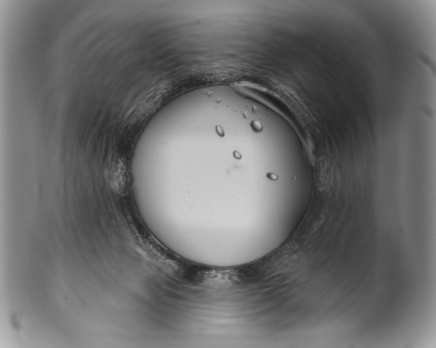 X0000100360077200806201614