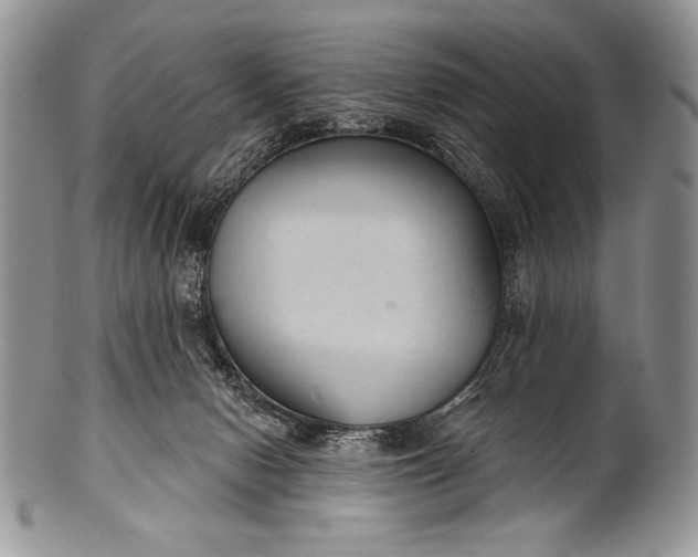 X0000100360078200806201614