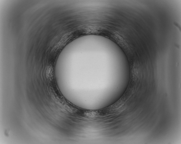 X0000100360079200806201614