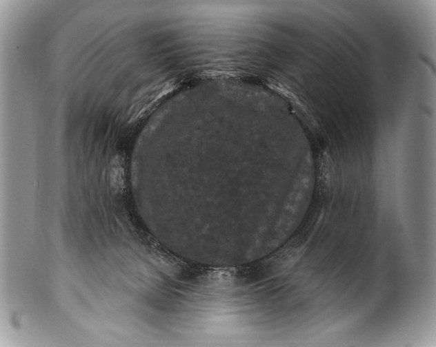 X0000100360080200806201614