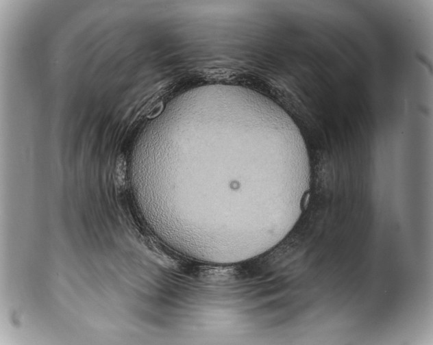 X0000100360081200806201614