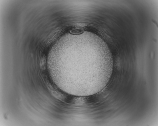 X0000100360082200806201614