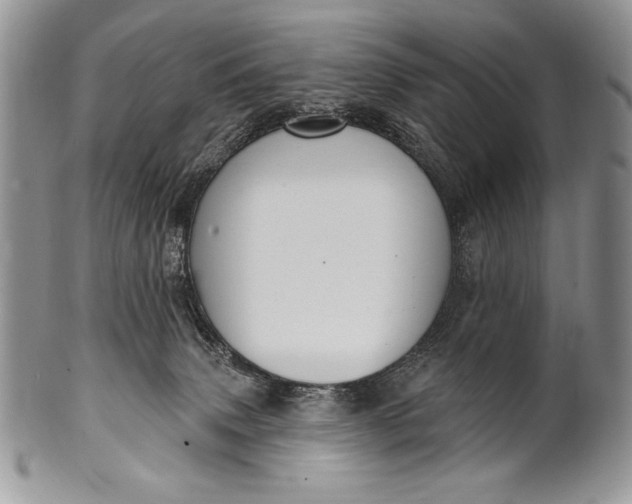 X0000100360083200806201614