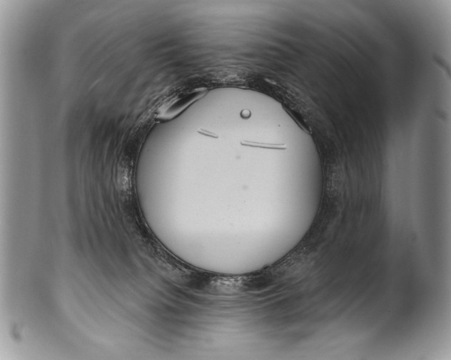 X0000100360084200806201614