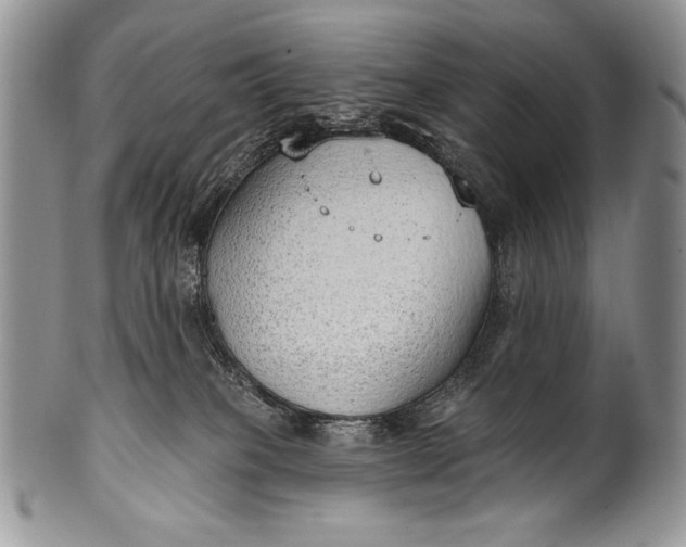 X0000100360085200806201614