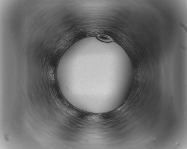 X0000100360086200806201614