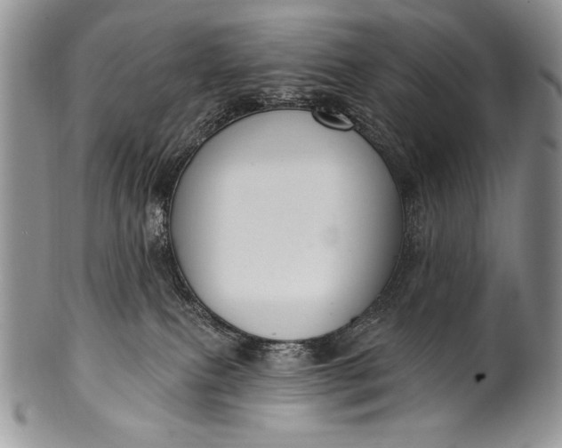 X0000100360087200806201614