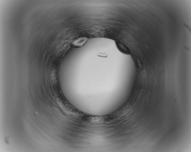 X0000100360088200806201614