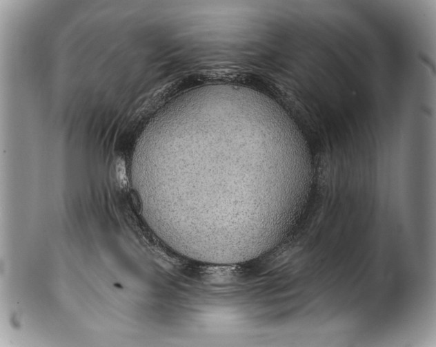 X0000100360089200806201614