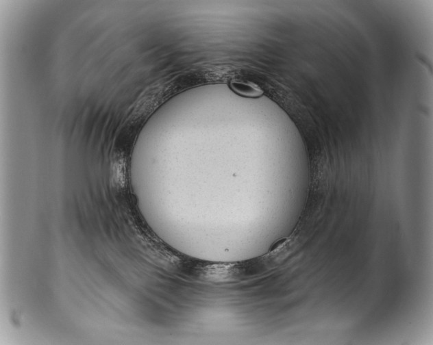 X0000100360090200806201614