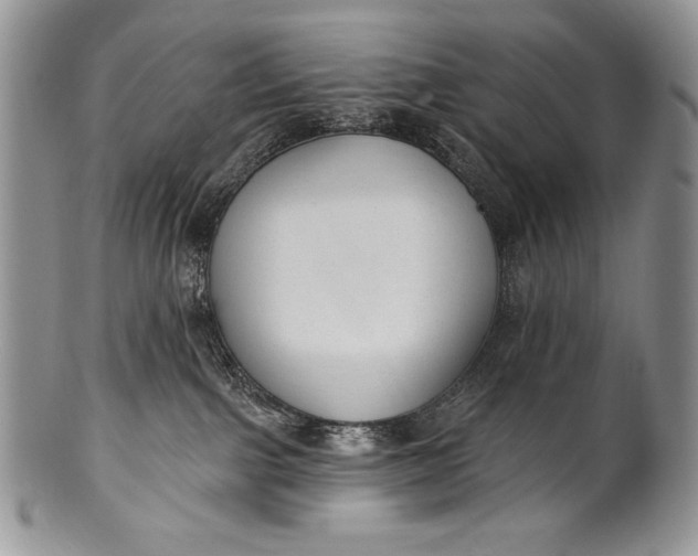 X0000100360091200806201614